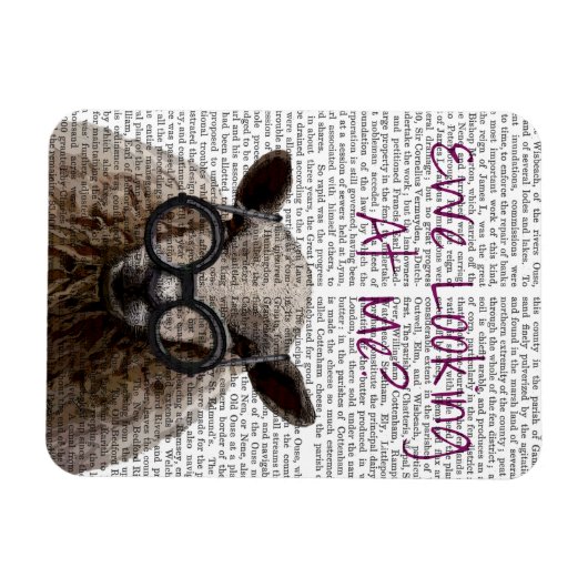 We kijken naar Me DeNiro Sheep 2 Magneet (Horizontaal)