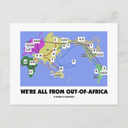 We komen allemaal uit Afrika (Haplogroup) Briefkaart (Voorkant)