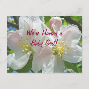 We krijgen een meisje! ansichtkaarten Nieuwe baby Aankondigingskaart