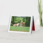 We kunnen een onwaarschijnlijke paar zijn kaart (Voorkant)