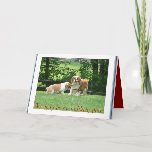 We kunnen een onwaarschijnlijke paar zijn kaart (Voorkant)
