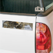 We kunnen niet allemaal leider van het pakket zijn bumpersticker (Op Truck)