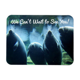 We kunnen niet wachten om je te zien! Manatees Magneet