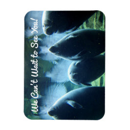 We kunnen niet wachten om je te zien! Manatees Magneet