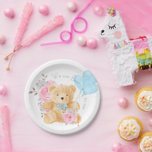 we kunnen nog lang wachten op Genderonthulling Papieren Bordje (Feest)