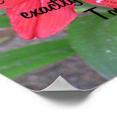 We kunnen ons leven veranderen. poster (Hoek)