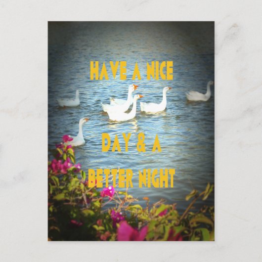 We laten onze klanten altijd tevreden en gelukkig  briefkaart (Voorkant)