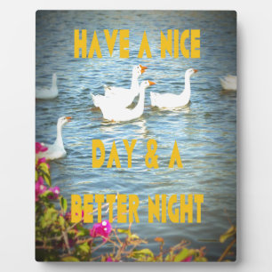 We laten onze klanten altijd tevreden en gelukkig  fotoplaat