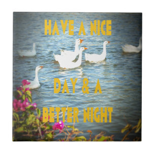 We laten onze klanten altijd tevreden en gelukkig  tegeltje