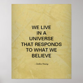 We Leven In Een Universum Poster