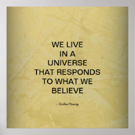 We Leven In Een Universum Poster