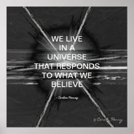 We Leven In Een Universum Poster