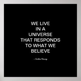 We Leven In Een Universum Poster