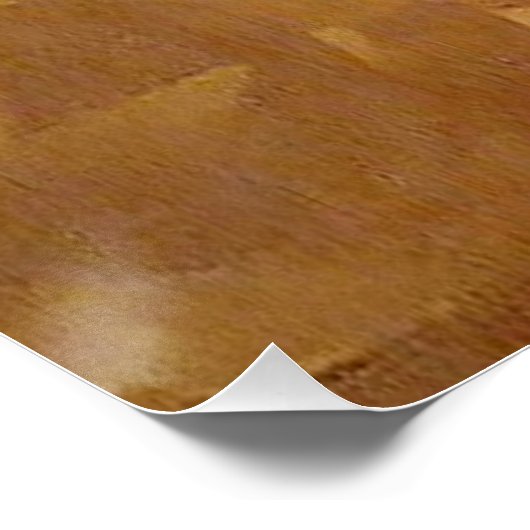 We leven in een universum prijsopgave - koper perfect poster (Hoek)