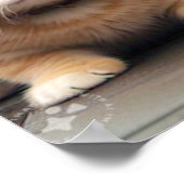 We leven samen, grappige kat + hond poster (Hoek)