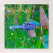 We Love Aligator is in Florida Legpuzzel (Verticaal)