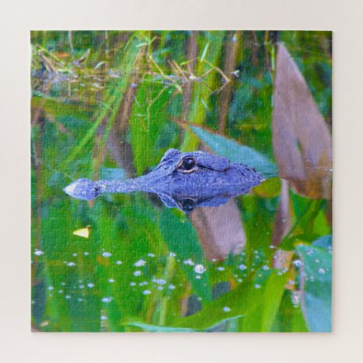 We Love Aligator is in Florida Legpuzzel (Verticaal)