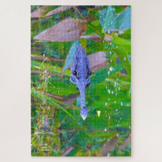 We Love Aligators in Florida Legpuzzel (Verticaal)