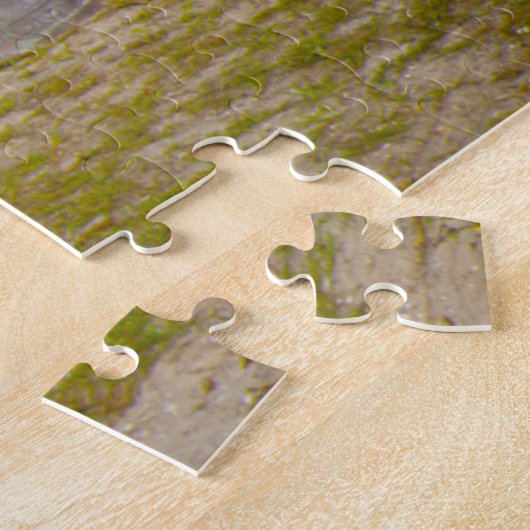 We Love Koreshan State Park in Florida Legpuzzel (Zijkant)