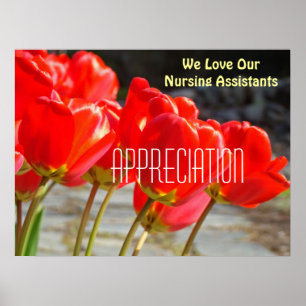 We Love Our Nursing Assistants poster Waardering