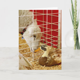 We maken een vreemd paar... feestdagen kaart