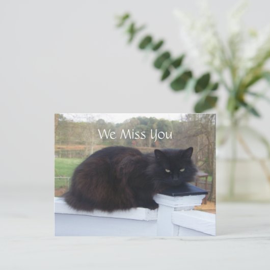 We Miss You Kat Briefkaart (Staand voorkant)