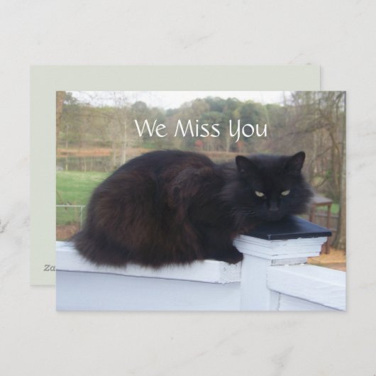 We Miss You Kat Briefkaart (Voorkant / Achterkant)