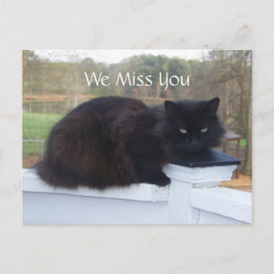 We Miss You Kat Briefkaart