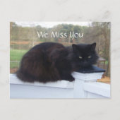 We Miss You Kat Briefkaart (Voorkant)