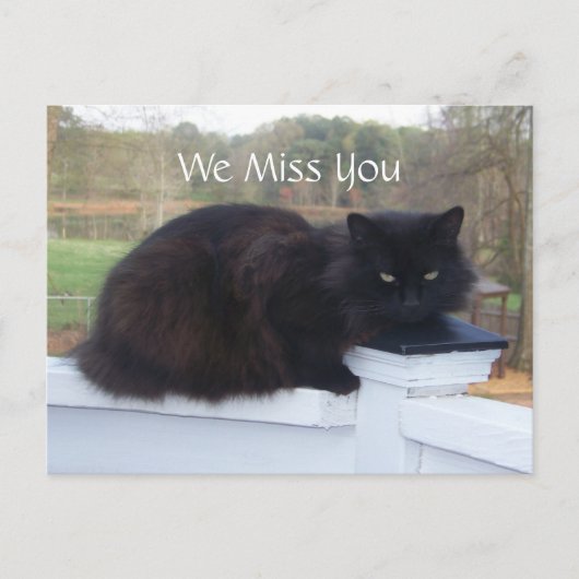 We Miss You Kat Briefkaart (Voorkant)