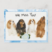 We missen je! 4 Cavalier King Charles Briefkaart (Voorkant)