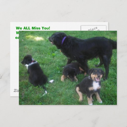 We missen je Briefkaart (Voorkant / Achterkant)