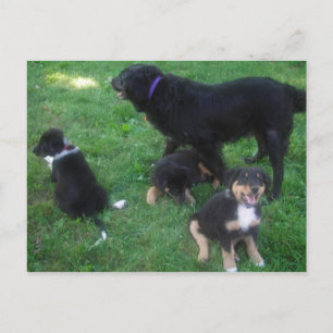 We missen je Briefkaart