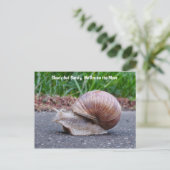 We nailen langs Briefkaart (Staand voorkant)