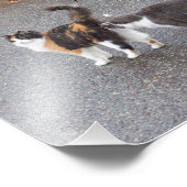 We ontmoeten elkaar op weg naar Haiku Foto Afdruk (Hoek)