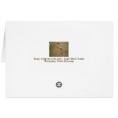 We schoppen zand niet sneeuw - voetafdrukken in de (Achterkant Horizontaal)