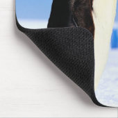 WE STAAN OP DE IJS. MUISMAT (Hoek)