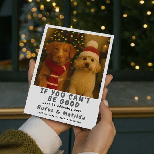 We staan op de Naughty List Hond Kerstfoto Feestdagenkaart