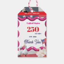 We The Silly Geese 250th Funny Celebration