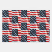 We The Silly Geese 250th Funny Celebration Inpakpapier Vel (Voorkant 3)