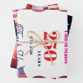 We The Silly Geese 250th Funny Celebration Inpakpapier Vel