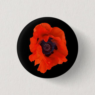 We vergeten Poppy Button