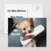 We verhuisden naar Chihuahua Aankondigingskaart (Voorkant / Achterkant)