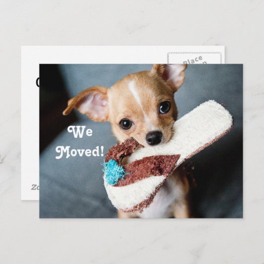 We verhuisden naar Chihuahua Aankondigingskaart (Voorkant / Achterkant)