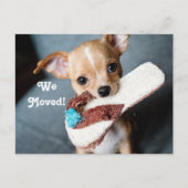 We verhuisden naar Chihuahua Aankondigingskaart (Voorkant)