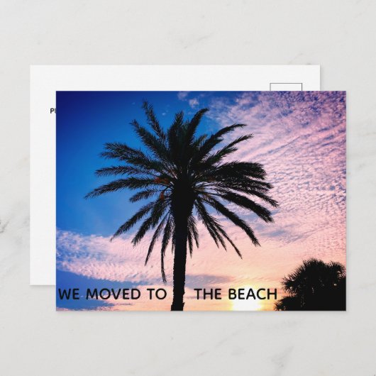 We verhuisden naar het Beach Palm Tree Home-startp Briefkaart (Voorkant / Achterkant)