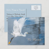 We verhuisden naar White-Snowy Gret tijdens de vlu Aankondigingskaart (Voorkant / Achterkant)