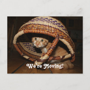 We verplaatsen Cat Aankondigingskaart