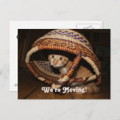 We verplaatsen Cat Aankondigingskaart (Voorkant / Achterkant)