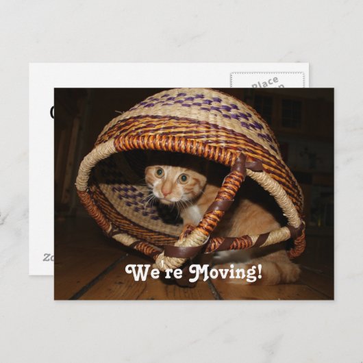 We verplaatsen Cat Aankondigingskaart (Voorkant / Achterkant)